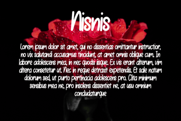Nisnis Font PNG with transparent background - Preview 2