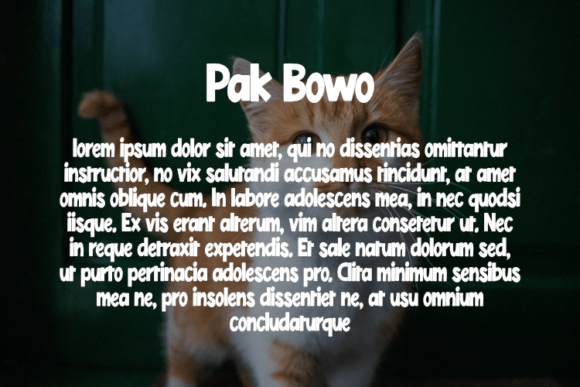Pak Bowo Font PNG with transparent background - Preview 2