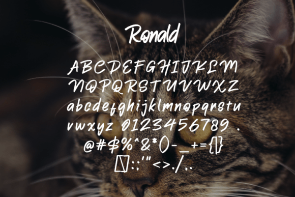 Ronald Font PNG with transparent background - Preview 1