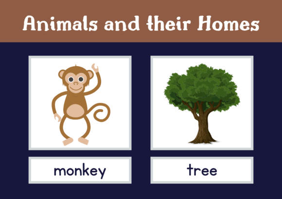 Animals and Their Homes Preschool