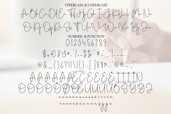 Cassandra Signature Font - Preview 6