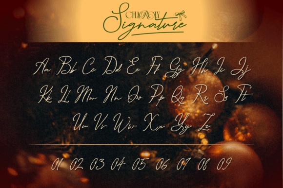 Charoly Signature Font - Preview 3