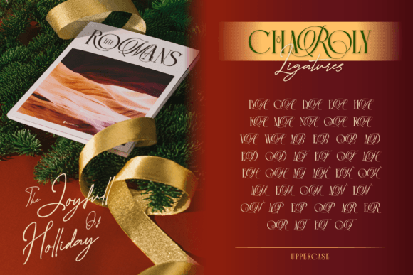 Charoly Signature Font - Preview 5