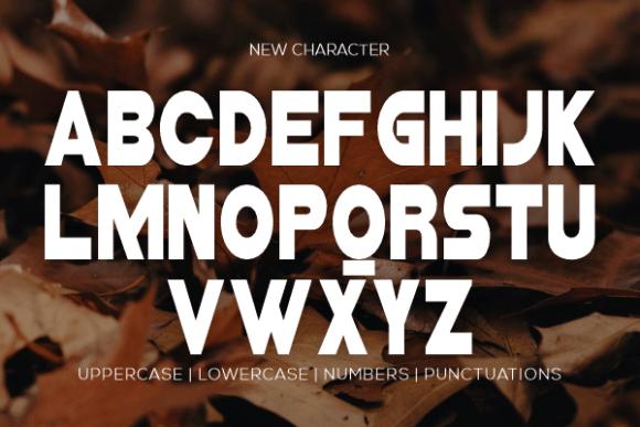 Hoqueen Blonder Font - Preview 2