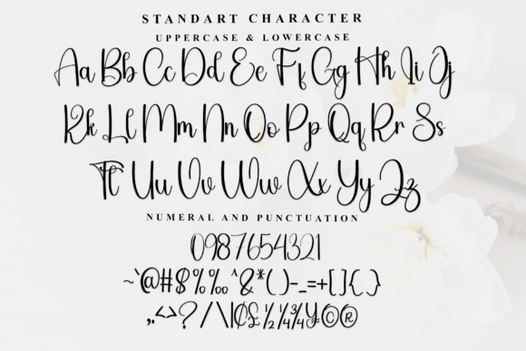 Anything Font - Preview 4
