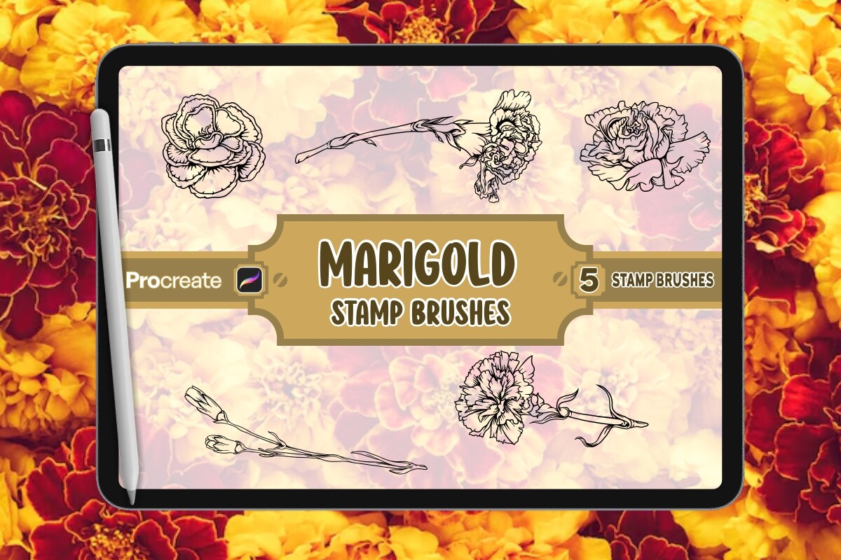 Marigold Brush Stamp Set for Procreate Graphic by vect studio ...