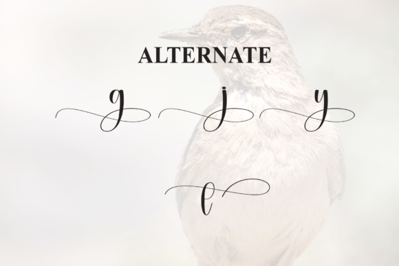 Nightingale Font PNG with transparent background - Preview 6