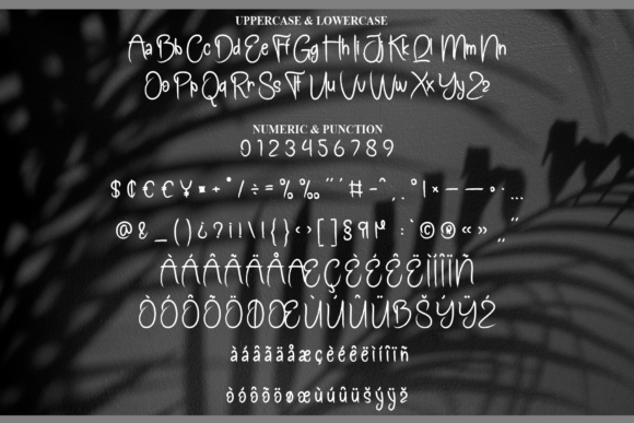 Black Shadows Font - Preview 6