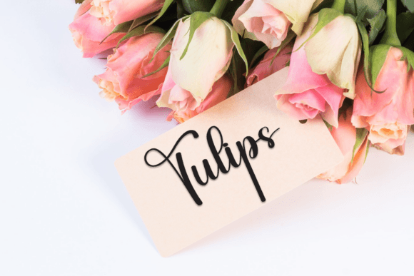 Branches Font - Preview 4