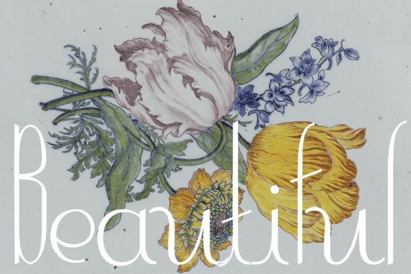 Contouration Font - Preview 3
