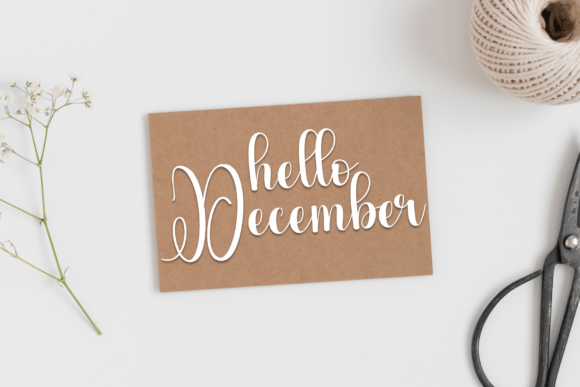 Kamila Font - Preview 4