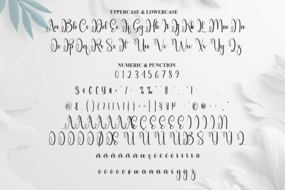 Kamila Font - Preview 6
