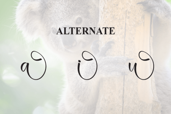 Koala Font PNG with transparent background - Preview 6