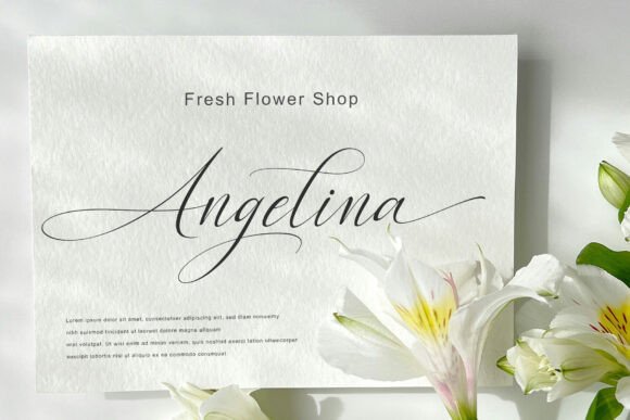 Herdiya Font PNG with transparent background - Preview 5