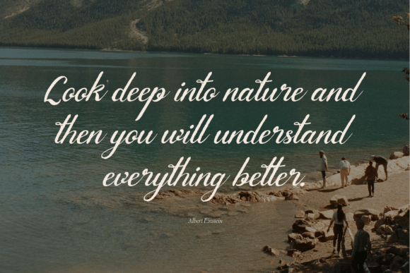 Calaris Deritta Font - Preview 5