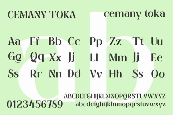 Cemany Toka Font - Preview 6