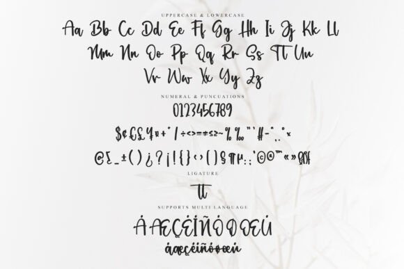 Clarity Font - Preview 5