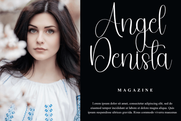 Handsome Font - Preview 1