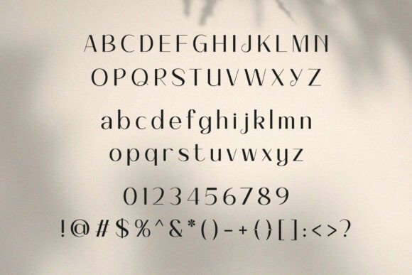 Milly Abrams Font PNG with transparent background - Preview 2
