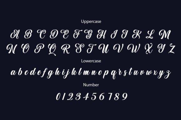 Aulora Script Font - Preview 4