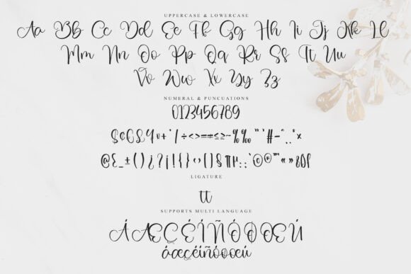 Brunches Font - Preview 5