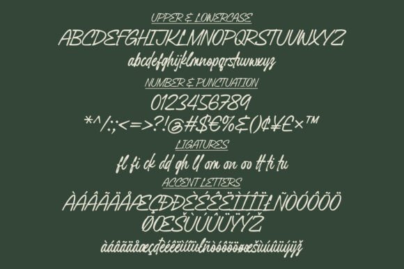 Celestial Signature Font PNG with transparent background - Preview 3