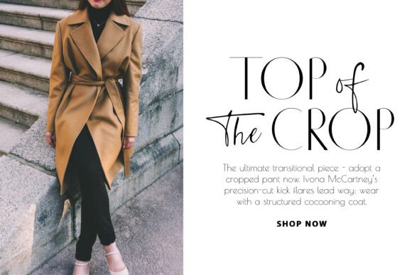 C'est Chic Font - Preview 3