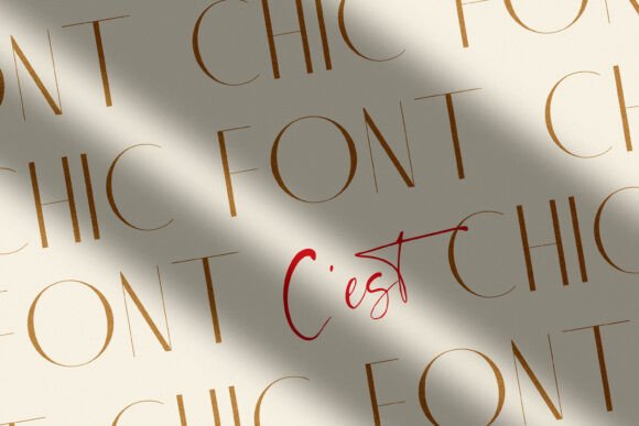 C'est Chic Font - Preview 4