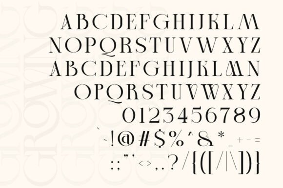 Cheqa Font - Preview 5