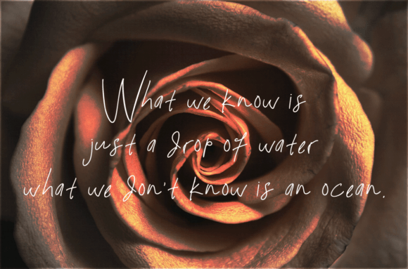 Ramansa = Font PNG with transparent background - Preview 4