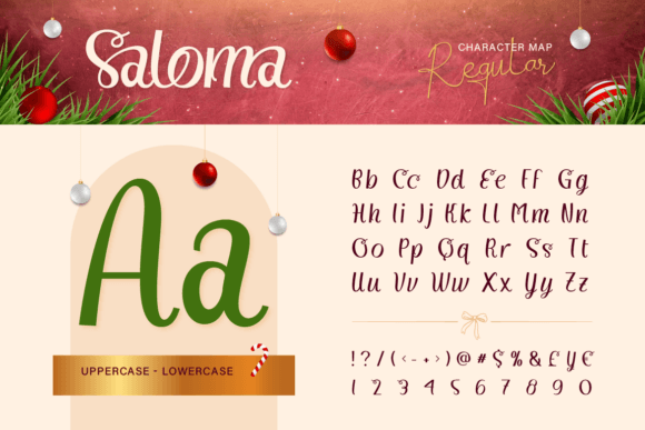 Saloma Signature Font font preview - 1