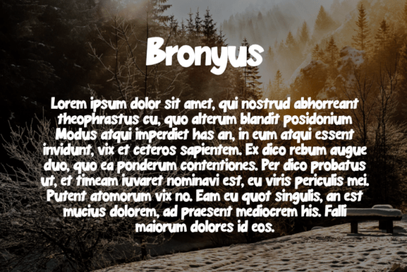 Bronyus Font - Preview 2