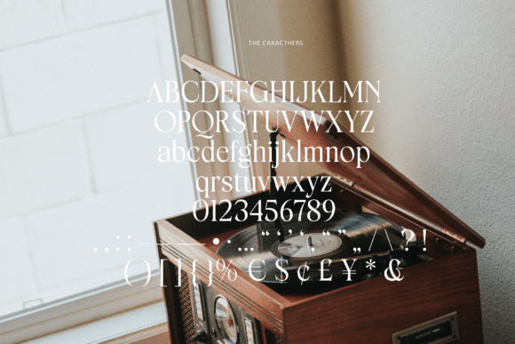 Dorothy Anwoorth Font - Preview 2