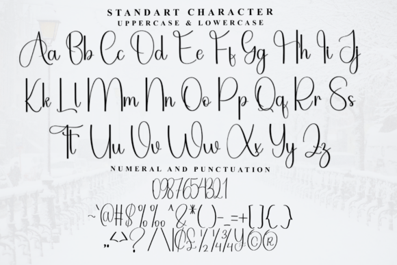 Autoplay Font - Preview 4