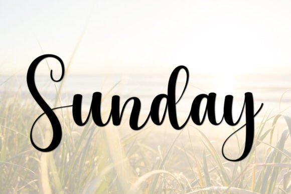 Cactus Font - Preview 1