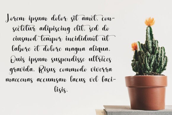 Cactus Font - Preview 2