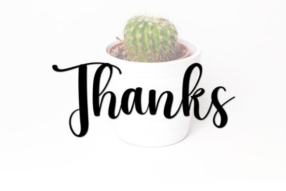 Cactus Font - Preview 4