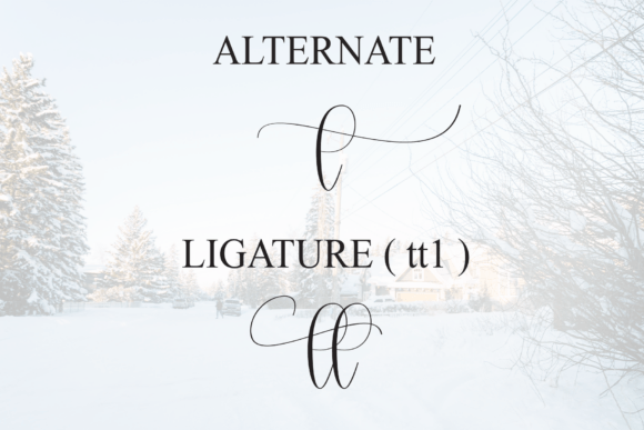 Christmas Silhouette Font PNG with transparent background - Preview 6