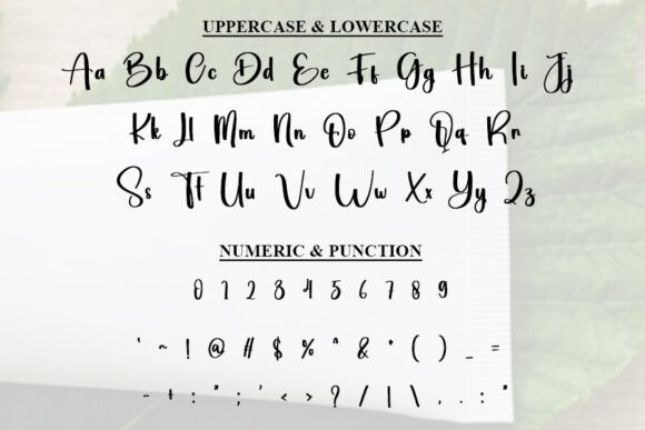 Jhony Font PNG with transparent background - Preview 3