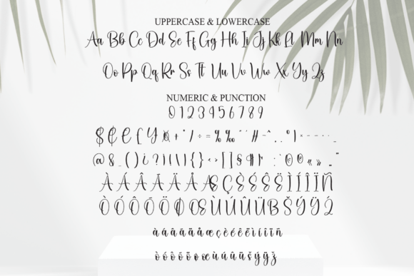 Handwriting Font - Preview 6