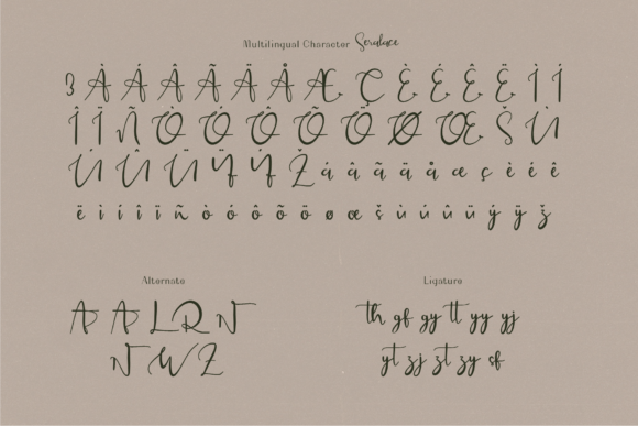 Seralace Font PNG with transparent background - Preview 2