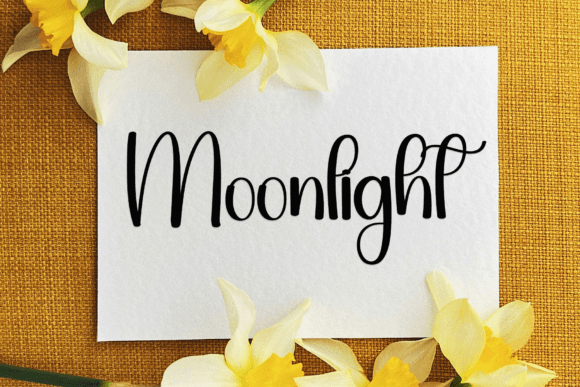 Baverly Font - Preview 4