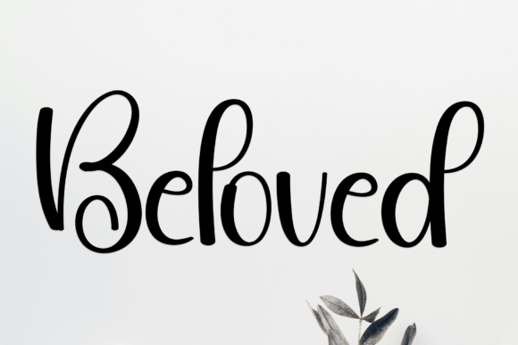 Baverly Font - Preview 6