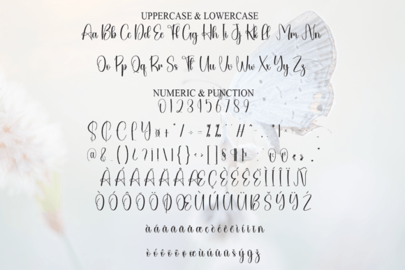 Butterfly Font - Preview 6