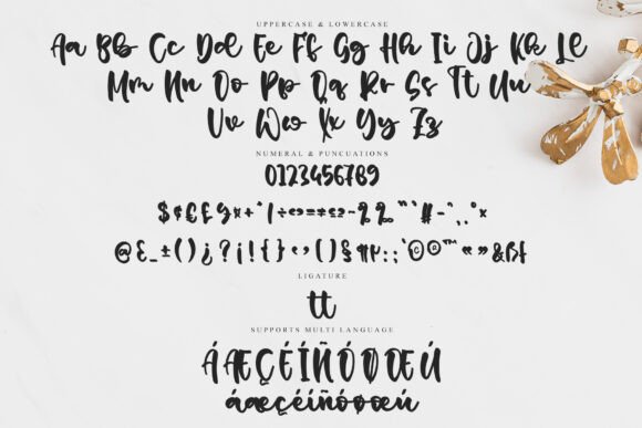 Cardinal Font - Preview 5
