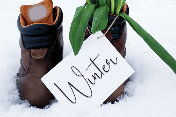 Christmas Hunting Font - Preview 4