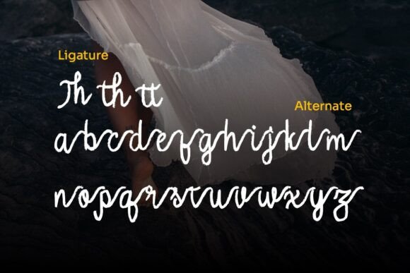 Oishu Taveny Font PNG with transparent background - Preview 2