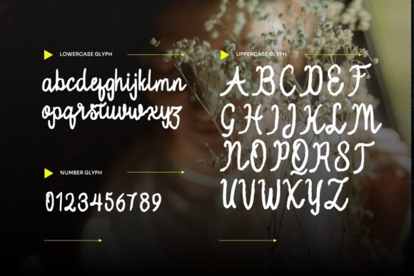 Oishu Taveny Font PNG with transparent background - Preview 3