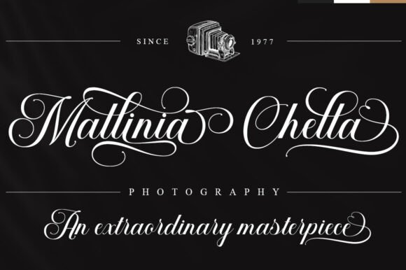 Salsabilla Calligraphy Font PNG with transparent background - Preview 3