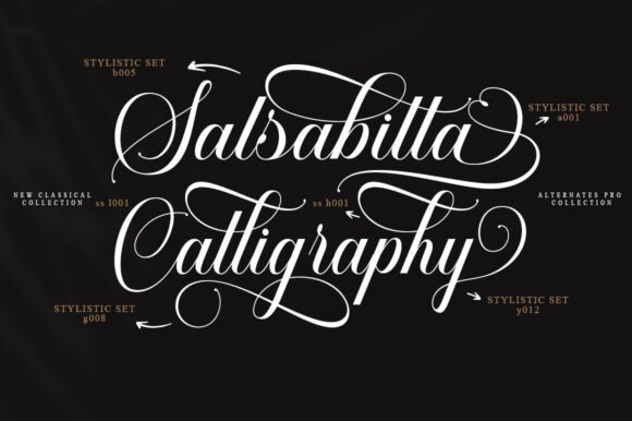 Salsabilla Calligraphy Font PNG with transparent background - Preview 5